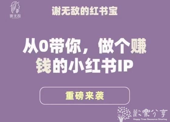 谢无敌·小红书运营大宝典，从0带你做个赚钱的小红书IP